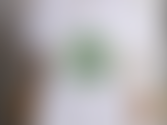 Official Schsl Boys Individual Tennis State Championships 2024 Shirt