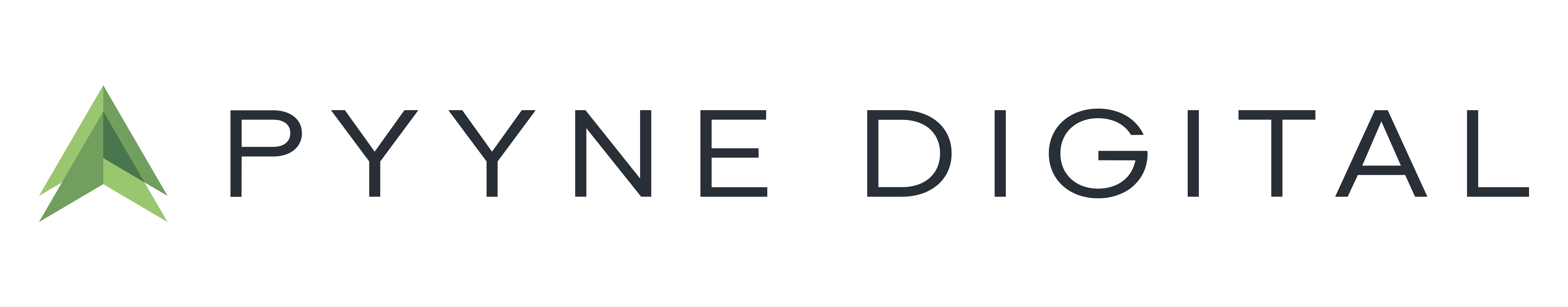 pyyne logo