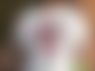 Oklahoma Sooners Ivory Baseball Logo T Shirt