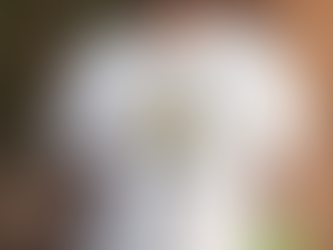 Official Georgia Amoore Go Hokies Vt Basketball Fan Club Collection T shirt