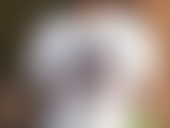 Oingo Boingo Alive NEW T Shirt Live In Concert Small Tour shirt