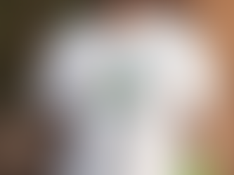 Closer To The Sun December 15, 2024 Event Tour Shirt