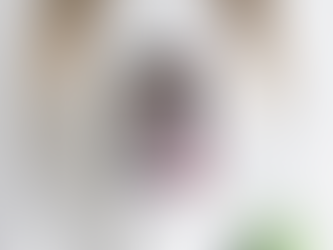 Official So Sick Of Your Shit Shirt