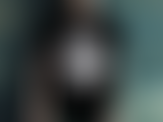 Furman Paladins Logo Campus Icon T Shirt