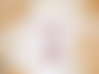 Aiden High School class of 1947 60th reunion Redskins shirt