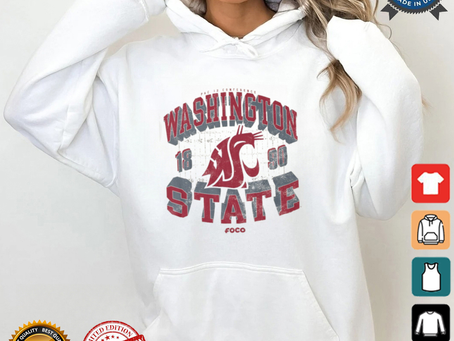 2023 Dallas Sports Teams Logo shirt