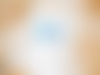 Life Has No Porpoise Tee Ethically Made T Shirt