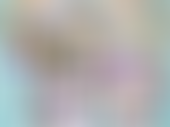 Personalized Nll San Diego Seals Shirt Using Away Jersey Color Hawaiian Shirts