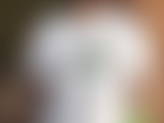 Closer To The Sun December 11, 2024 Shirt