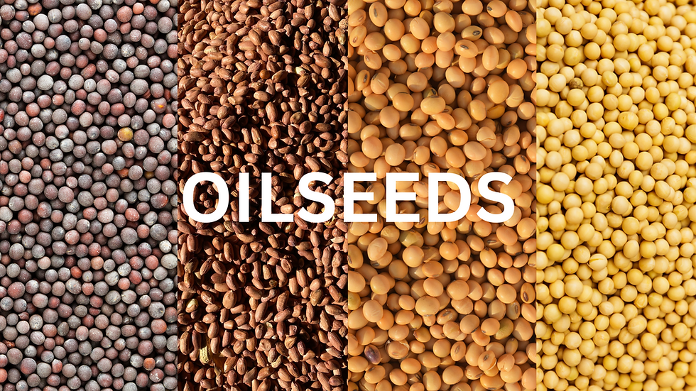 OILSEEDS