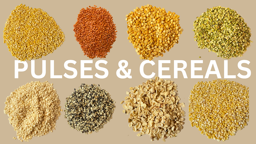 PULSES & CEREALS