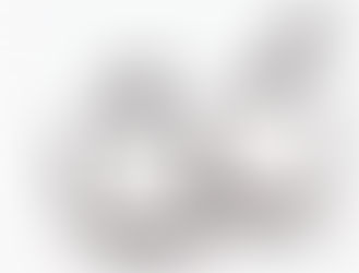 TRANSFER PRICING FUNDAMENTALS #1