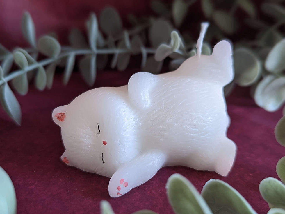 Miniatyrbild: Sovande katt