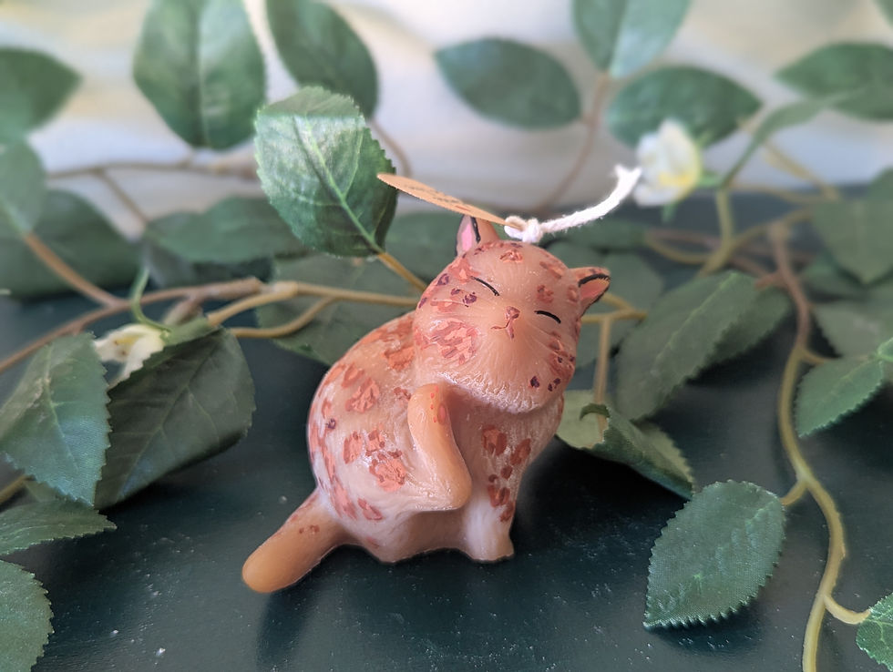 Miniatyrbild: Kliande katt