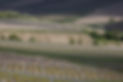 Chablis 2 BD.jpg