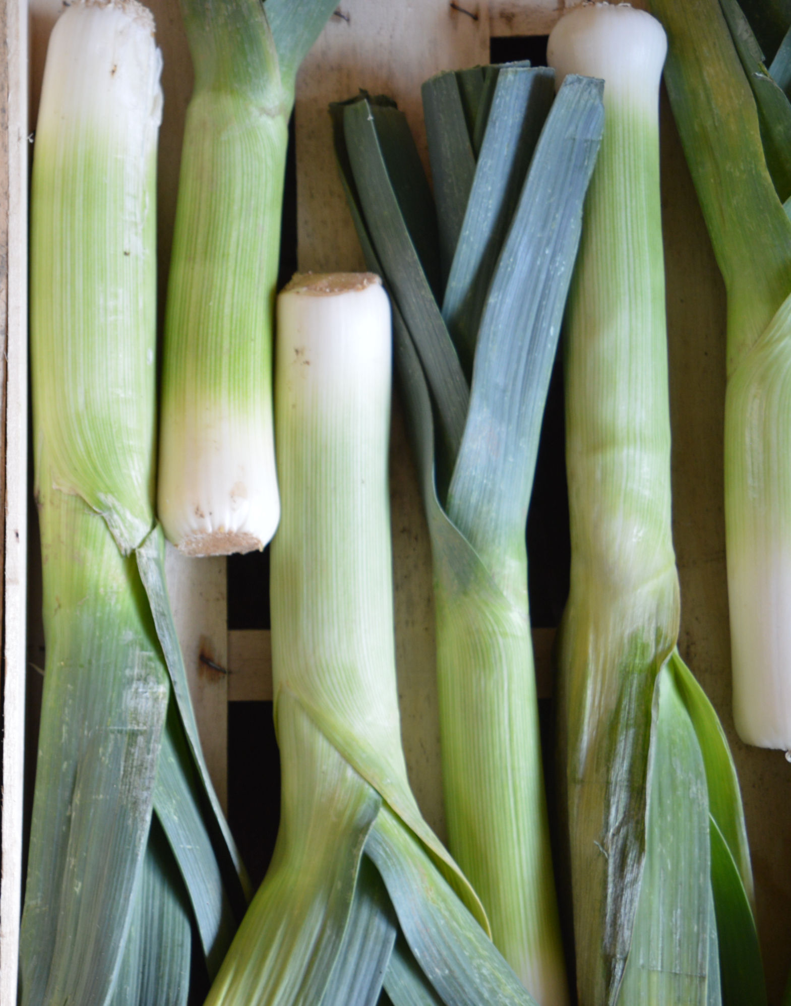 Leeks