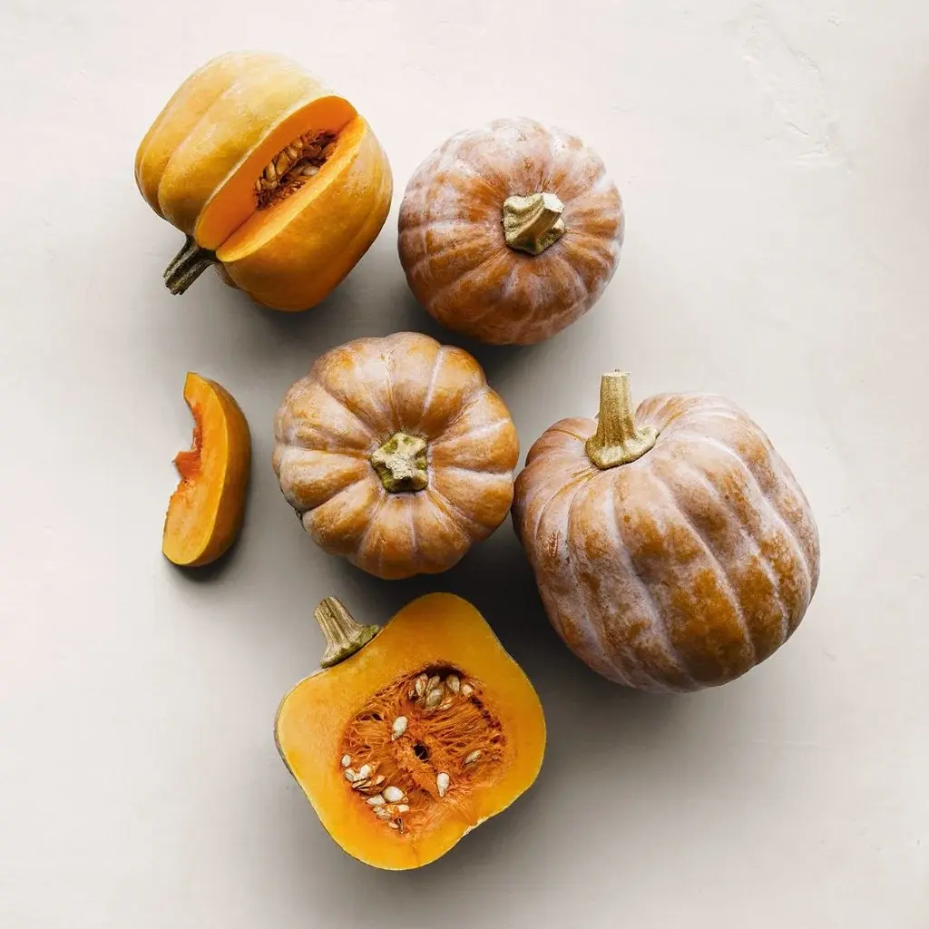 Koginut Squash