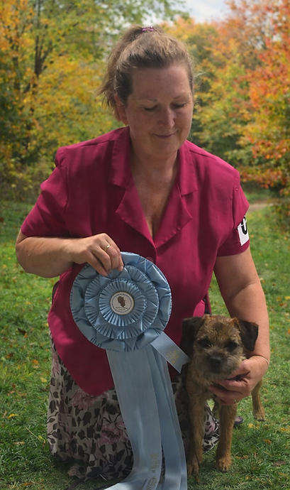 Ivy the border terrier with best puppy in show rosette