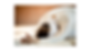 Untitled design.png