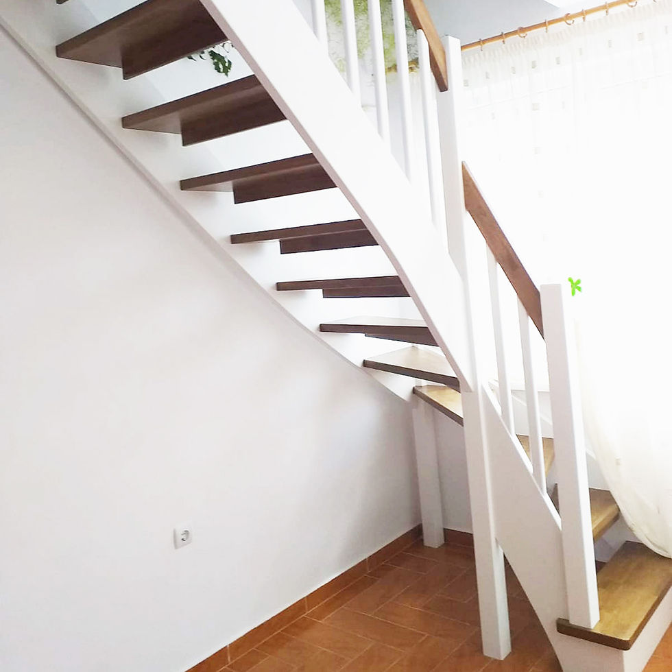 Scara_stejar_5_11