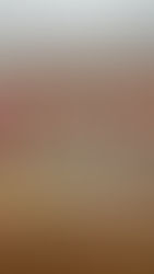 Object to the proposed development of 59 co-living flats at the former Alexandra Court Care Home in Carntyne by Friday 2 January