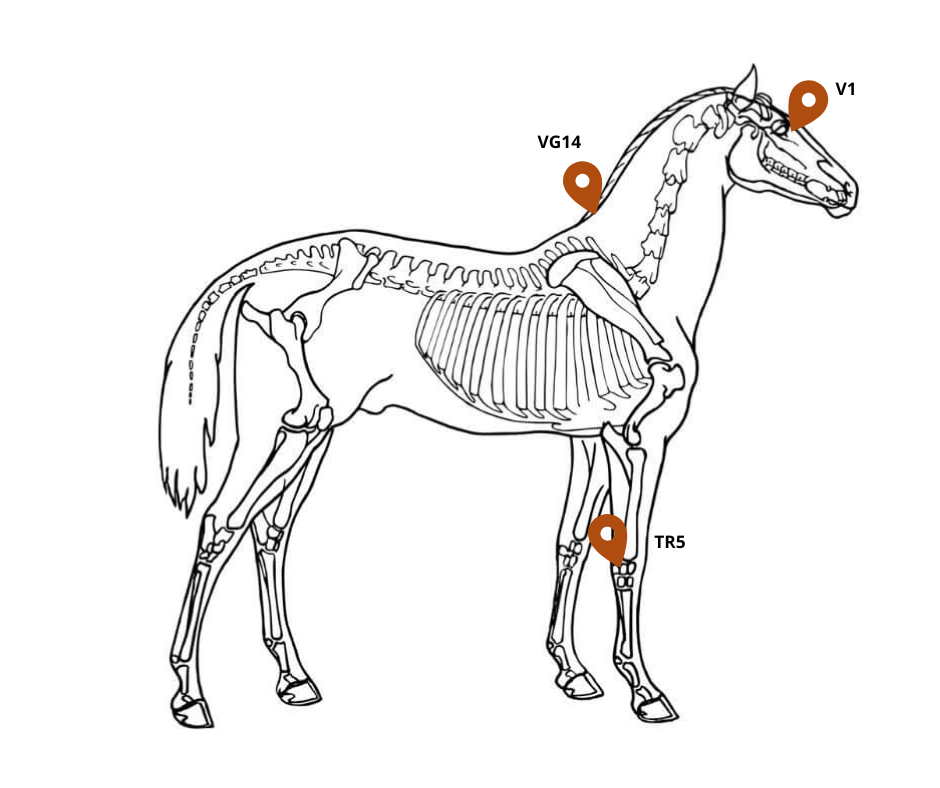 Localisation de V1, VG14 et TR5 (cliquez pour agrandir)