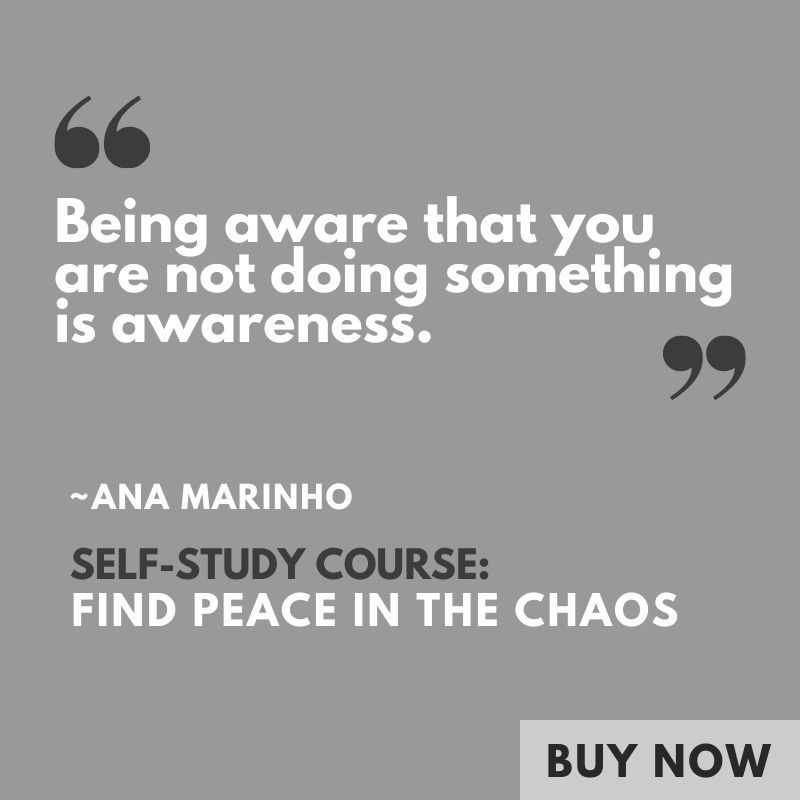 Thumbnail: Find Peace in the Chaos: tools for busy people to mindfully manage stress