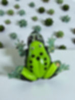 Green resin frog with black spots and iridescent feet, featuring a smaller frog visible inside its clear body