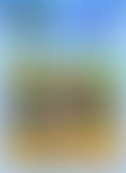 TRADE A PLANE doing great thing for Blessings From D-Skies