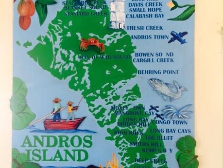 The Real Andros Bahamas