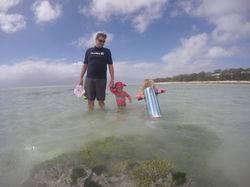 Reef walking