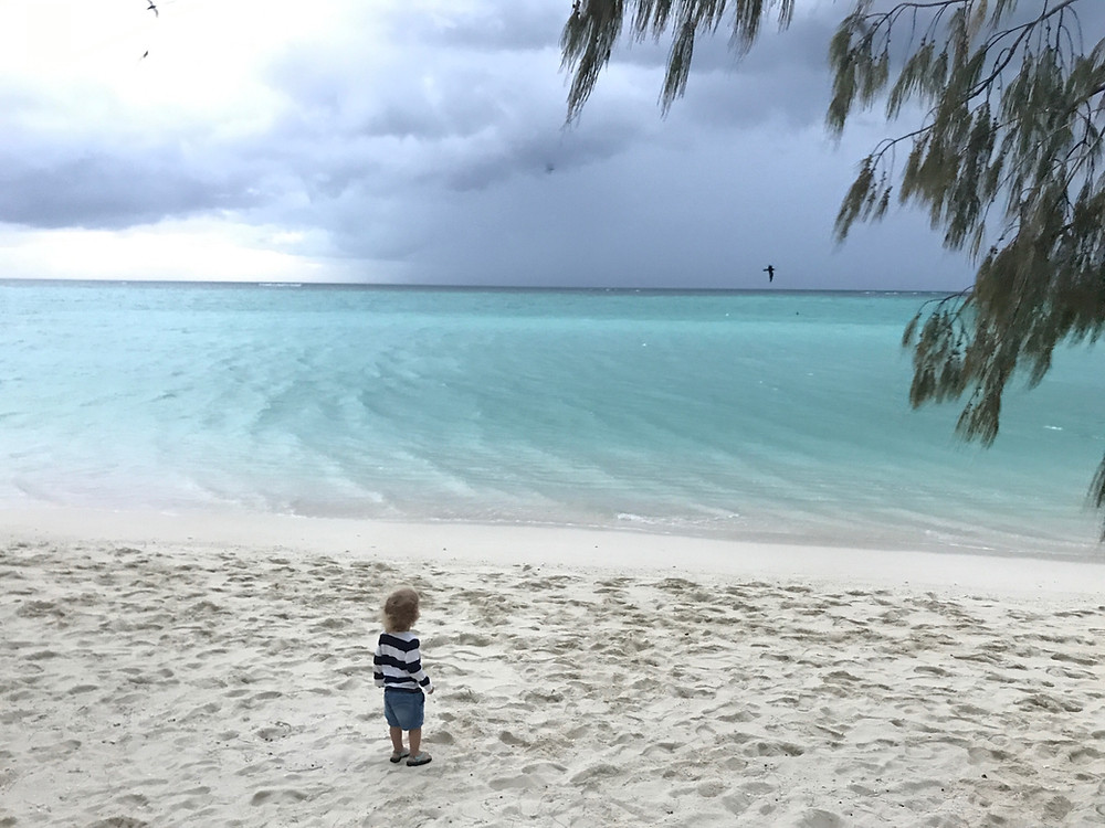 Spectacular Heron Island