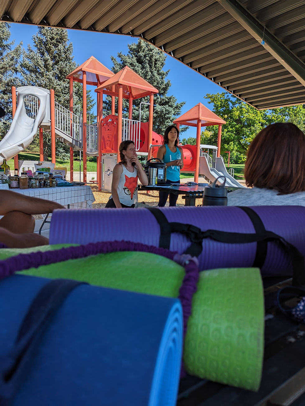 Workshop: How to Reduce Inflammation & Mobility