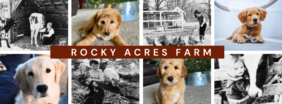 Rocky Acrs Farm - 1.png