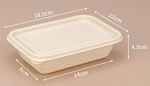 WhatsApp Image 2025-07-27 at 18.15_edited.jpg