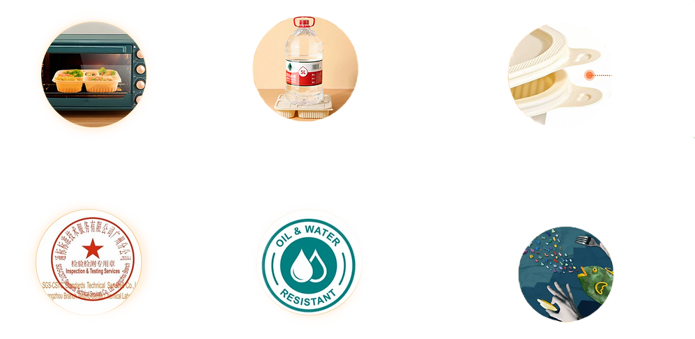 Screenshot 2025-07-27 at 9.08_edited.png