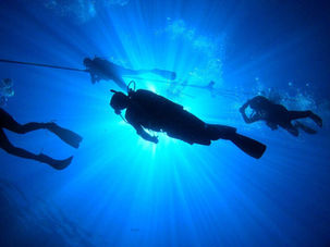 divers in the blue diving down in the open ocean