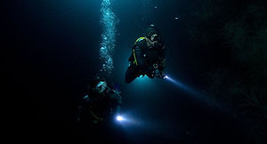 Discover a completely new side of diving – after sunset.