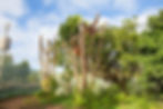 AkZ-SEAP-Canopy+Climbers-web.jpg