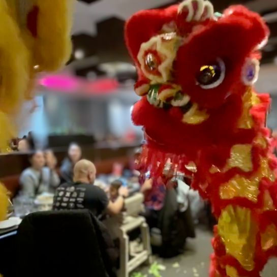 Thumbnail: Chinese lions dancing in a restaurant.