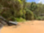 The Basin Pittwater