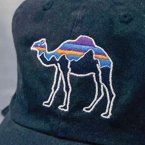 Flat Embroidered Hat