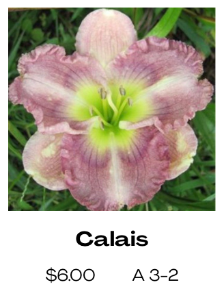 Calais