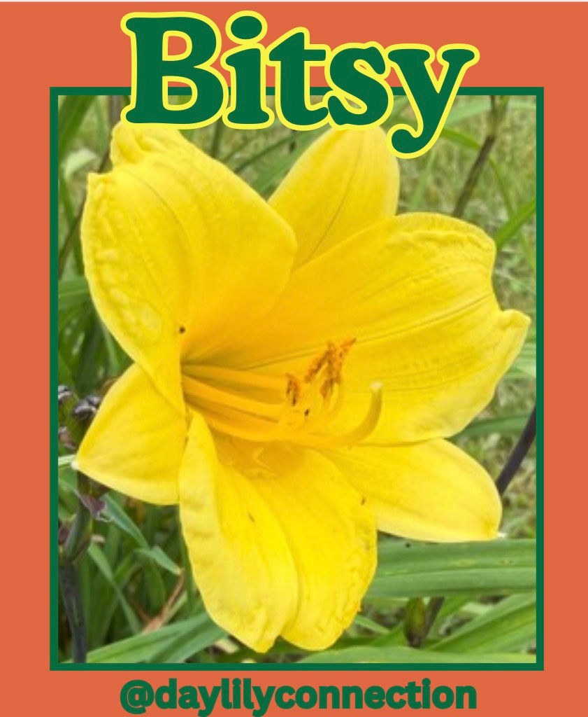 The first bloom to kick off the 2026 season.