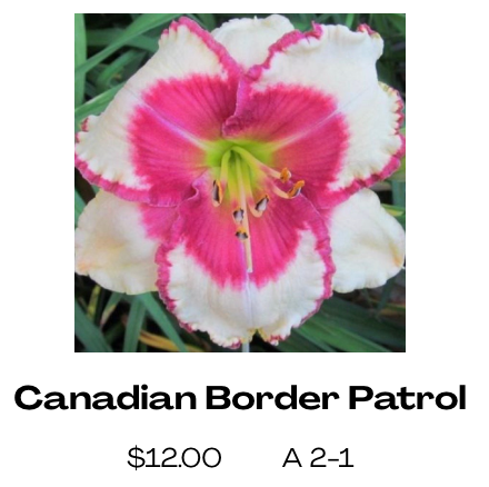 Canadian Border Patrol