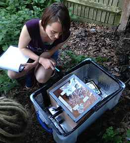 2016-05-04 19.51.08.jpg