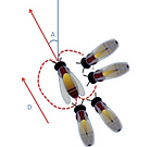 waggle dance figure.png