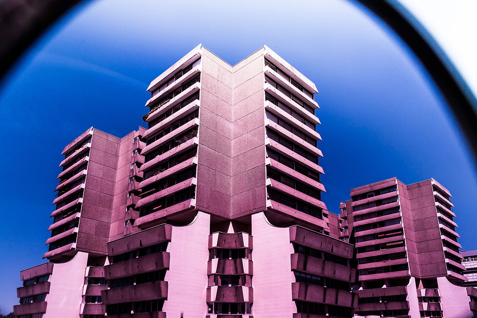 Mériadeck & Sunglasses