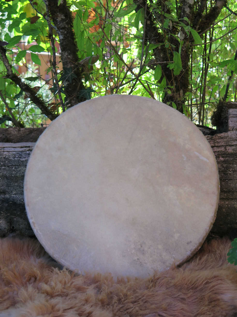 Tambour attrape-rêves agneau