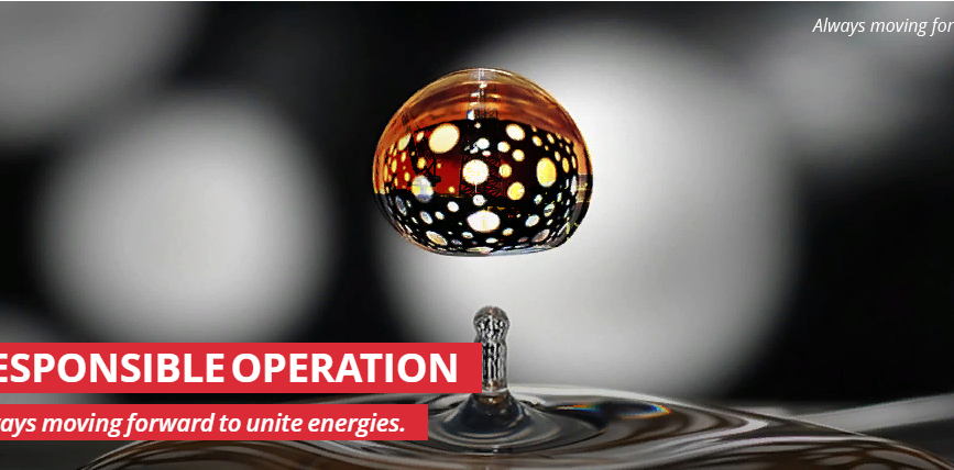 FireShot Capture 082 - LUKOIL - Business
